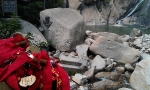 imag0226