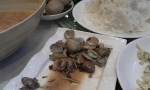 imag0242